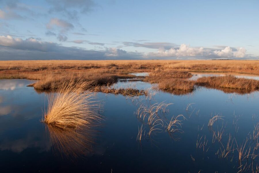 Otterlo: De Hoge Veluwe National Park Entry Ticket - Why De Hoge Veluwe makes a good day trip