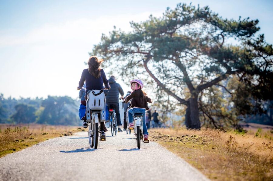 Otterlo: De Hoge Veluwe National Park Entry Ticket - Forest, heath, and sand on one cycling route