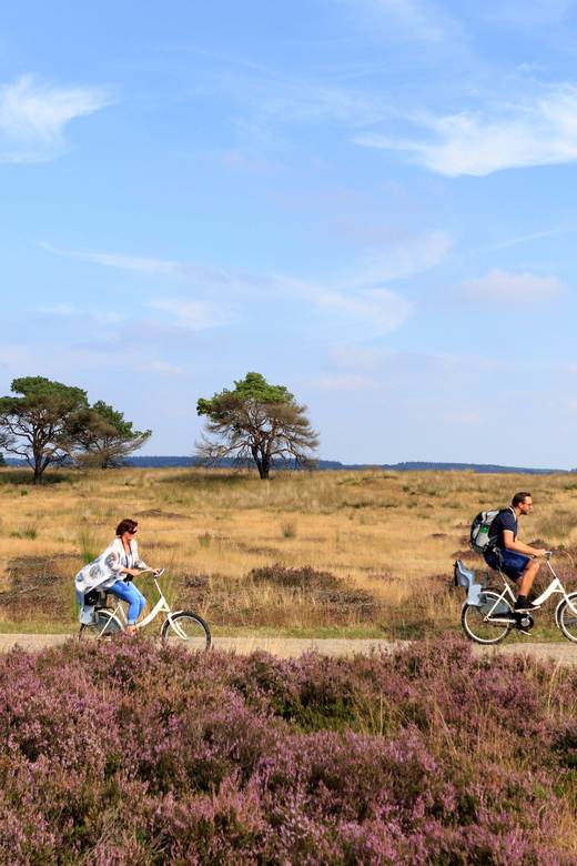 Otterlo: De Hoge Veluwe National Park Entry Ticket - Wildlife areas and bird-watching stops