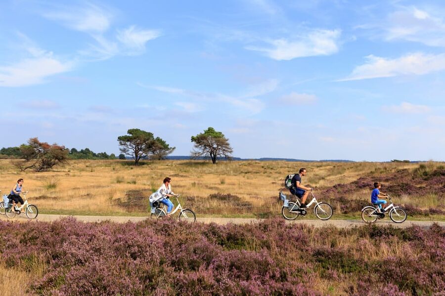 Otterlo: De Hoge Veluwe National Park Entry Ticket - Kröller-Müller: the major extra-cost stop