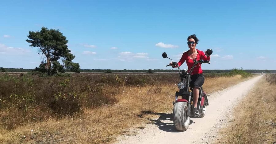 Otterlo: E-chopper rental - Heathlands and forests: the scenic center of the ride