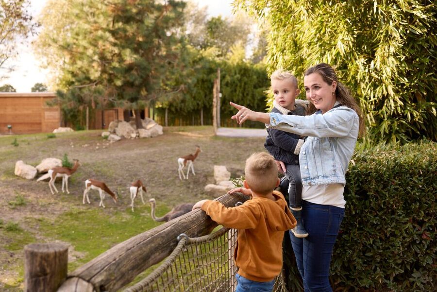 Overloon: ZooParc Entrance Ticket - Jangalee brings in tigers and serious drama