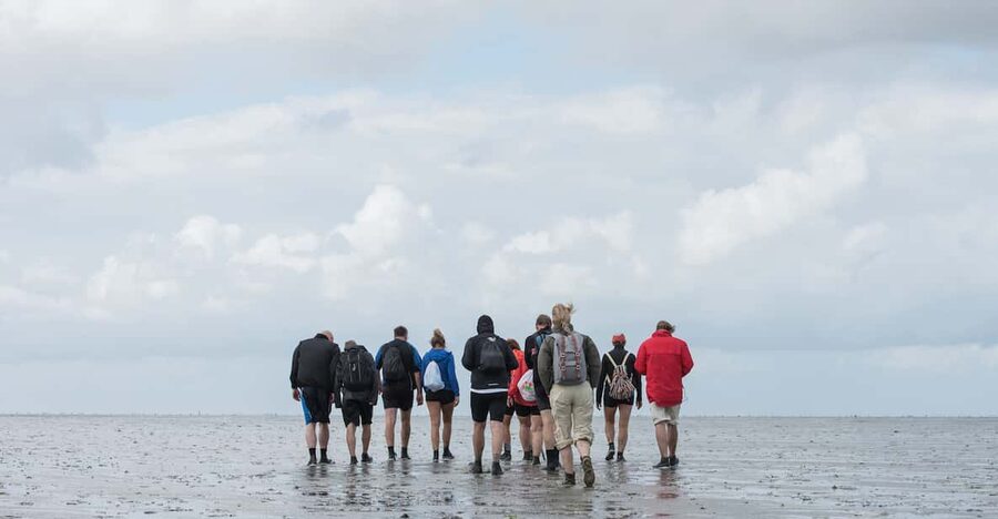 Pieterburen: Wadden Sea Mudflats Guided Walking Tour - Who will enjoy this experience most