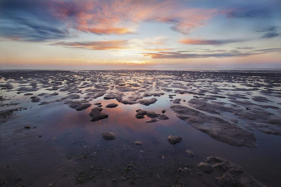 Pieterburen: Wadden Sea Mudflats Guided Walking Tour - Starting at the seawall near Westernieland