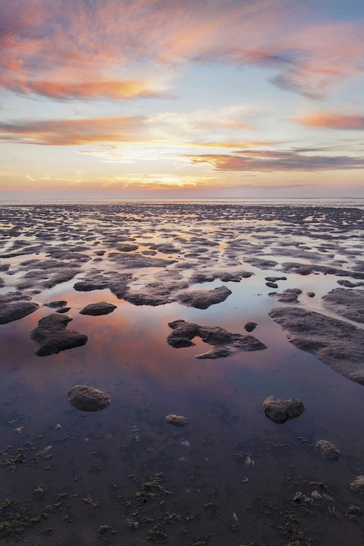 Pieterburen: Wadden Sea Mudflats Guided Walking Tour - The Noordpolder and Zijltocht canals