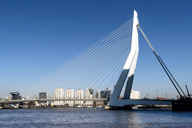 Private Day Tour: Rotterdam, Delft & The Hague From Amsterdam - Rotterdam begins with the Erasmus Bridge