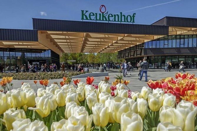 Private Day Tour to Keukenhof Gardens - from Amsterdam/Rotterdam - Why this private tour works well