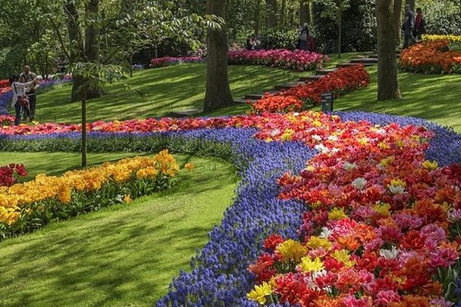 Private Day Tour to Keukenhof Gardens - from Amsterdam/Rotterdam - Is the $23 price good value?