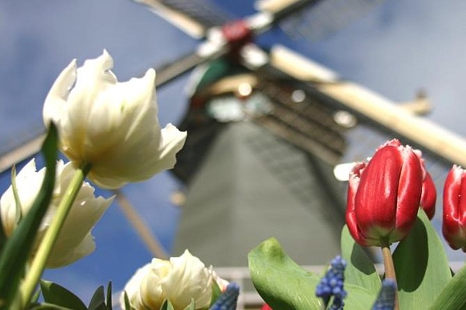 Private Day Tour to Keukenhof Gardens - from Amsterdam/Rotterdam - Timing, pickup, and booking details