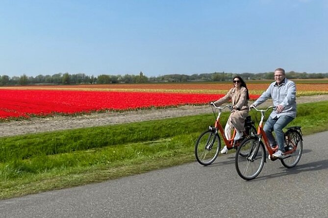 Private Day Tour to Keukenhof Gardens - from Amsterdam/Rotterdam - Who should book this Keukenhof outing?