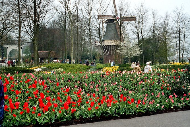 Private Day Trip from Amsterdam to Keukenhof with Entrance Tickets - Entering Keukenhof with less waiting