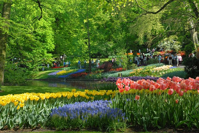 Private Day Trip from Amsterdam to Keukenhof with Entrance Tickets - Lunch and possible stops beyond the garden