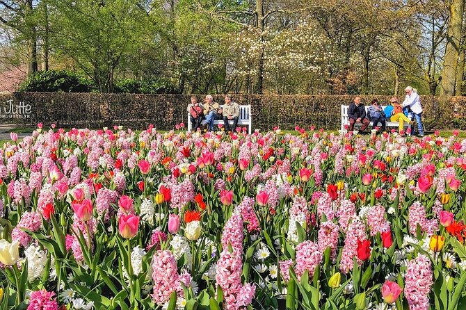 Private Day Trip to Keukenhof Gardens with Entrance Tickets - Why Keukenhof makes a strong half-day from Amsterdam