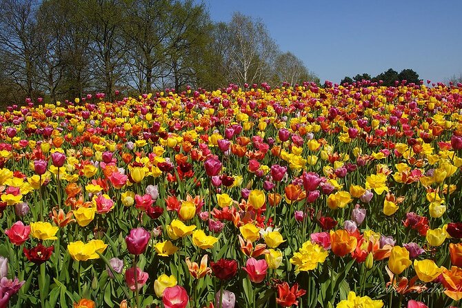 Private Day Trip to Keukenhof Gardens with Entrance Tickets - Entering Keukenhof with admission already arranged