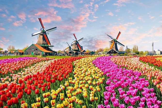 Private Day Trip to Zaanse Schans, Volendam & Marken from Amsterdam - Zaanse Schans and its row of working windmills