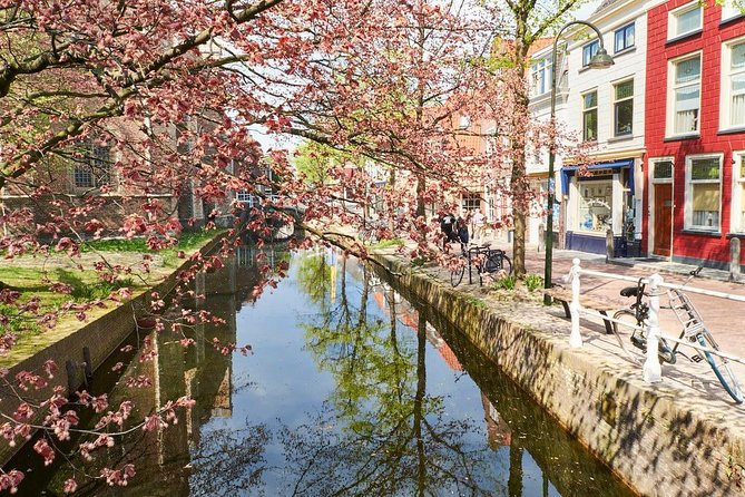 Private full-day tour of Delft and Rotterdam from Amsterdam - Timing, comfort, and practical limits