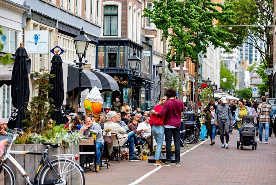 Private Guided Daytrip in Rotterdam and Dordrecht - Rotterdam’s Cubic Houses, Market Hall, and Erasmus Bridge