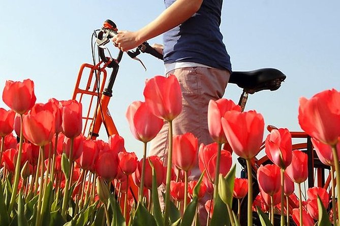 Private Guided Full-Day Customizable Tour of Holland from Amsterdam - Guides and the value of a personal host