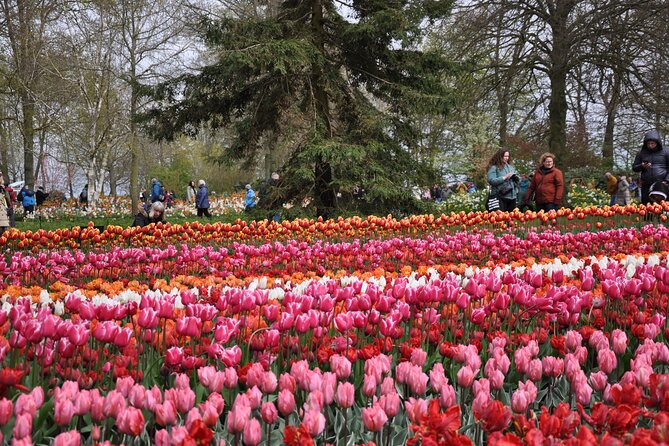 Private Guided Keukenhof Gardens and Zaanse Schans Tour - Two hours among Keukenhof’s spring flowers