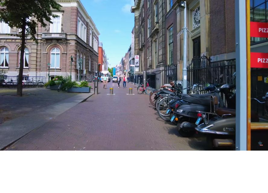Private half-day Delft and The Hague tour - Who will get the most from this experience?