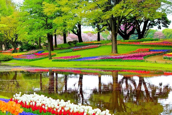 Private Half-Day Trip From Amsterdam to The Tulip Fields in Keukenhof - Why Keukenhof makes a good half-day from Amsterdam