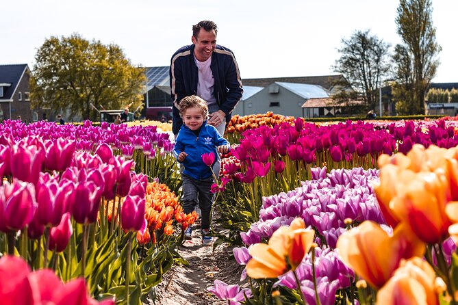Private Keukenhof Gardens and Tulip Fields Tour from Amsterdam - Who should book this private Keukenhof outing?