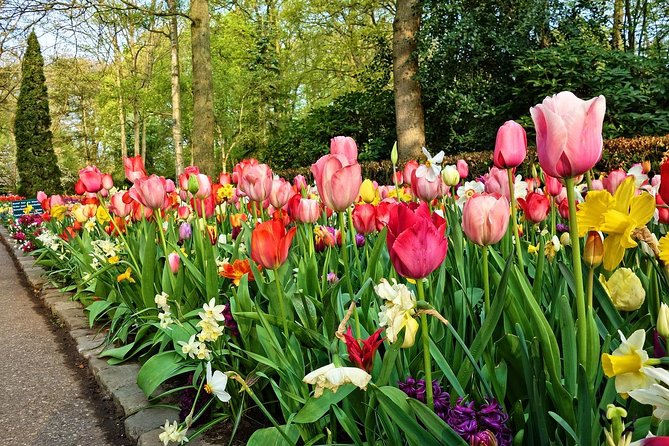 Private Keukenhof Gardens and Tulip Fields Tour from Amsterdam - Keukenhof delivers the big spring spectacle
