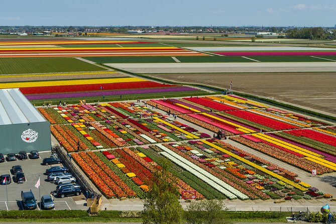Private Keukenhof, Gardens, Windmills, cheese tour from Amsterdam - How the eight-hour schedule feels