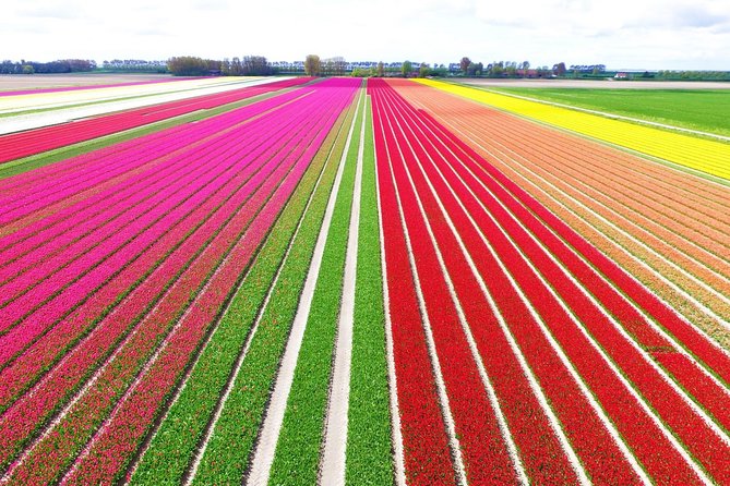 Private Keukenhof Park and Tulip Fields Tour (Skip-The-Line) - Key points at a glance