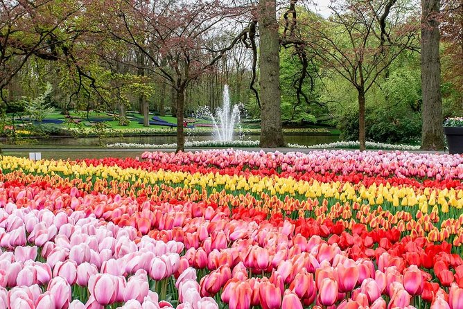 Private Keukenhof Park and Tulip Fields Tour (Skip-The-Line) - Why Keukenhof is worth the spring detour