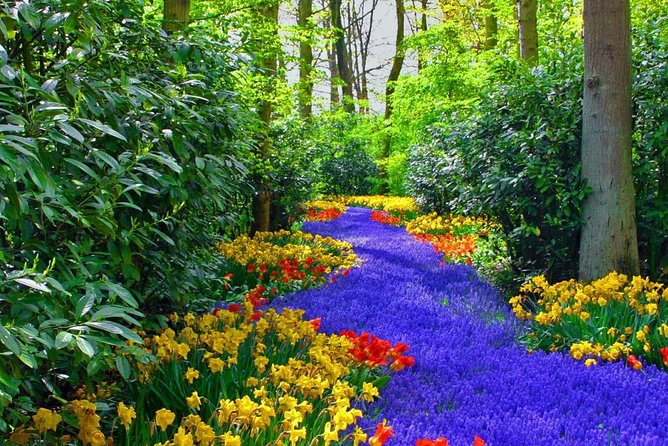 Private Keukenhof Park and Tulip Fields Tour (Skip-The-Line) - Entering Keukenhof and finding your own pace