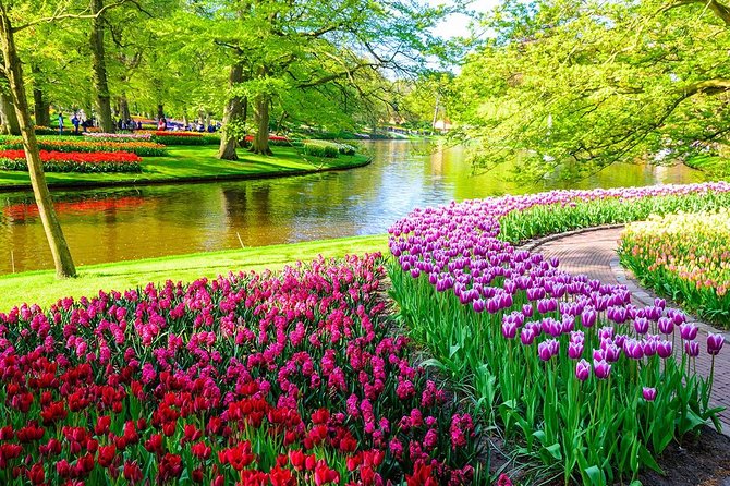 Private Keukenhof Park and Tulip Fields Tour (Skip-The-Line) - Tulip fields, windmills, and the Bollenstreek