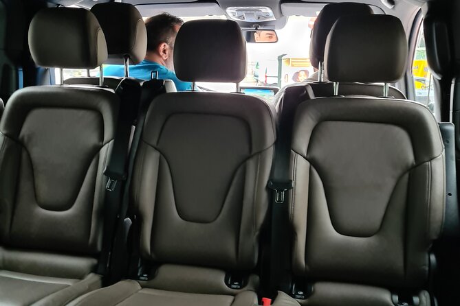 Private Minivan Transfer from Rotterdam - The Driver Makes the Difference