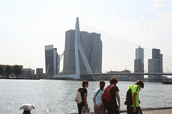 Private Rotterdam Walking Tour - guided by Architects - What the private guide adds