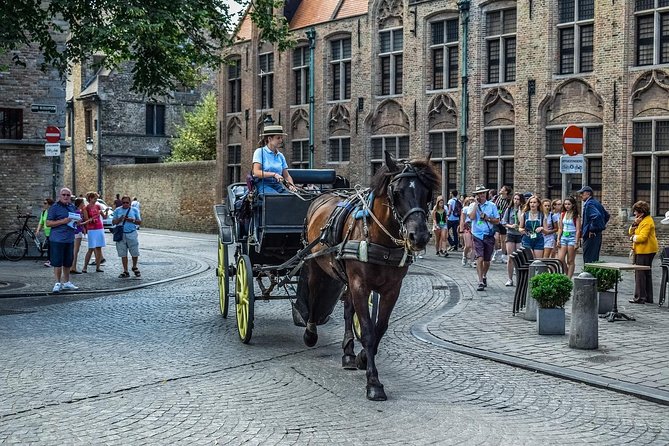 Private Sightseeing Day Trip to Ghent and Bruges from Amsterdam - What this Amsterdam to Belgium day trip is really like