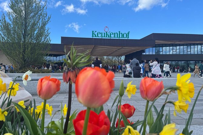 Private Taxi to Keukenhof Tulip Fields & Flowers From Amsterdam - Leaving Amsterdam for Keukenhof at 9:00 am