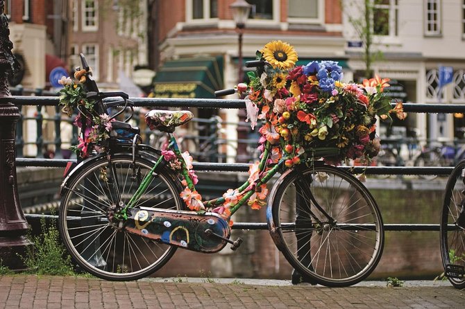 Private Tour: Amsterdam City Walking Tour and Canal Cruise - The walk: useful, but not gentle