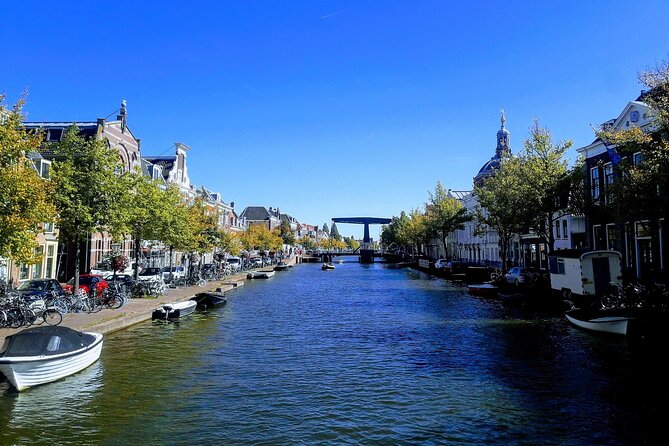 Private Tour to Kinderdijk and Delft / Leiden / Hague / Gouda - The car is the main practical concern