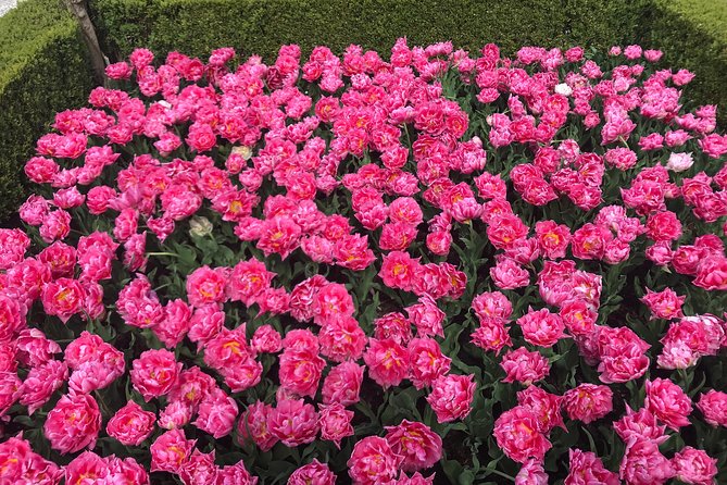 Private Tour to the Keukenhof and Tulip Fields - Guides who adapt instead of rushing you