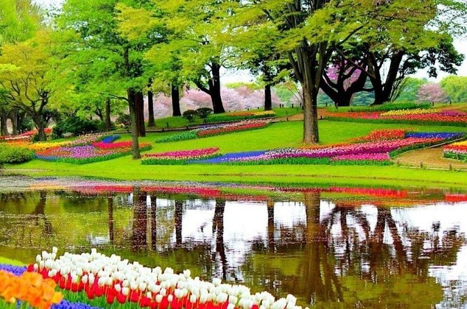 Private Tour to the Tulip Experience with Keukenhof Visit - Who will enjoy this private flower tour most