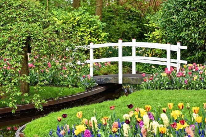Private Tour to Tulips, Keukenhof, Windmills & Cheese Farm - Who will get the most from this day