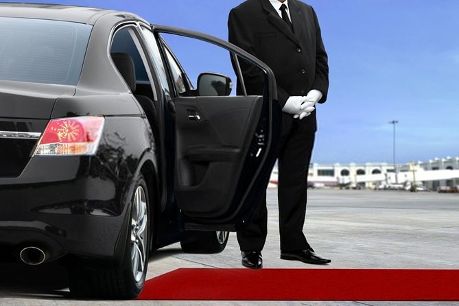 Private Transfer from Amsterdam Airport Schiphol to The Hague - Door-to-door arrival in The Hague