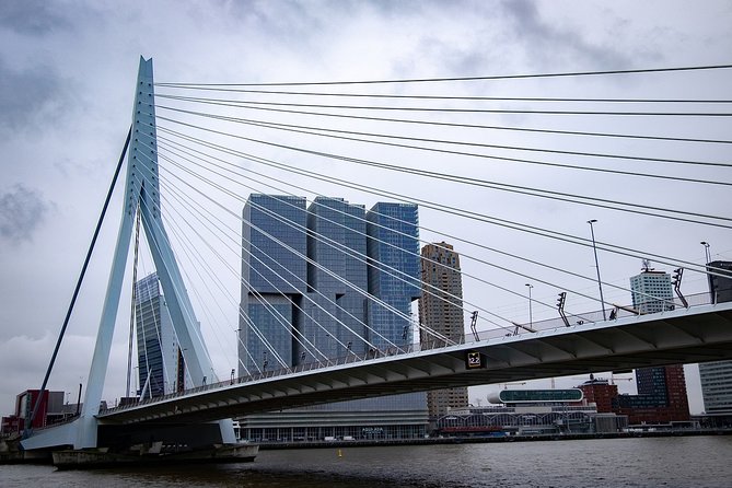 Private Transfer from Amsterdam city center to Rotterdam - What the Amsterdam to Rotterdam route feels like