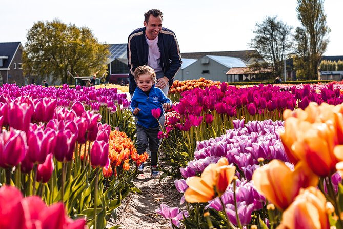 Private Tulip Fields, Windmills and Cheese Tour from Amsterdam - Zaanse Schans Shows Dutch Windmills at Work