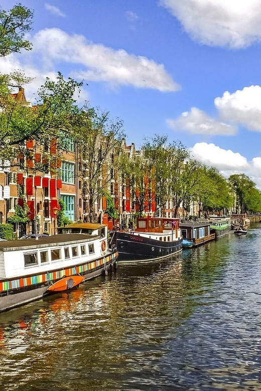 Private Van Gogh Walking Tour through Amsterdam - What the private format adds