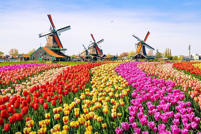 Private Zaanse Schans & Volendam Tour: Windmills, Cheese & Clogs - The Guides Can Make or Break the Day