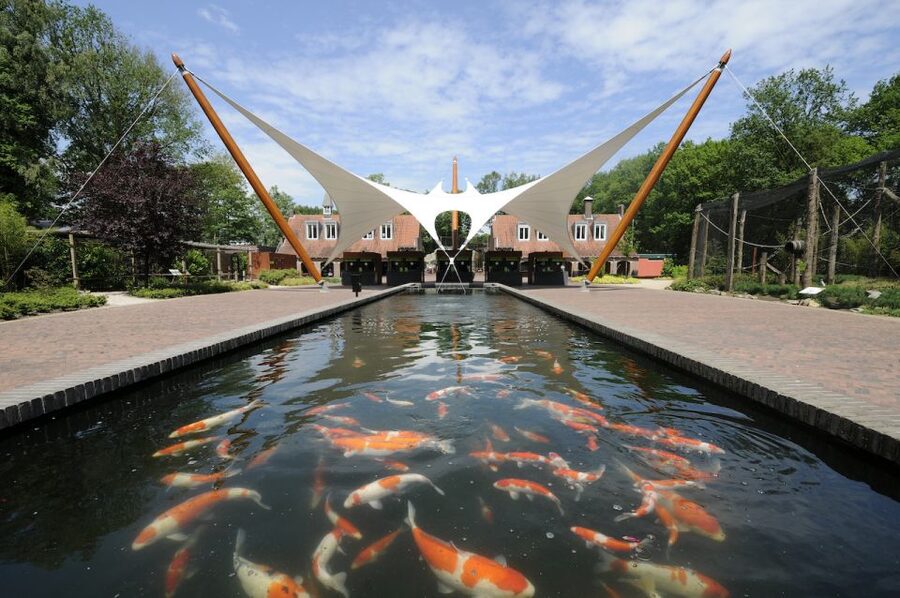 Rhenen: Ouwehands Zoo Entry Ticket - Why Ouwehands Zoo is worth the trip to Rhenen