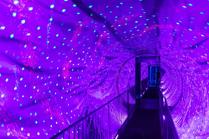 Ripley's Believe It or Not! Amsterdam Admission Ticket - The lounge above Dam Square