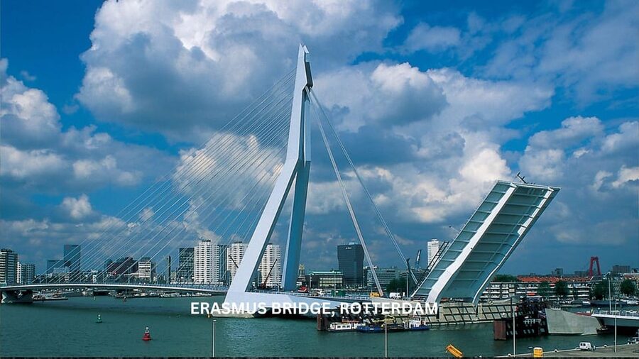 Rotterdam and Kinderdijk Daily Walking and Boat Tour - Erasmus Bridge provides the city’s signature view