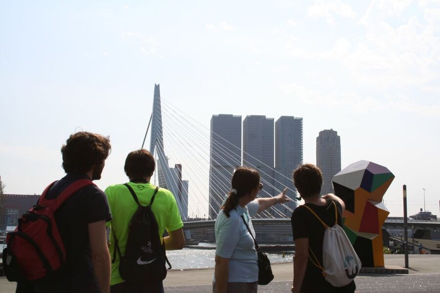 Rotterdam: Architectural Highlights Guided Walking Tour - How much value do you get for $53?